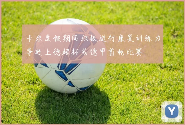 卡尔度假期间积极进行康复训练力争赶上德超杯或德甲首轮比赛